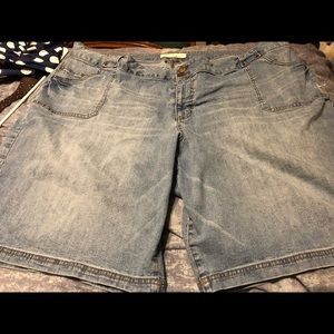 Cute fashion bug shorts